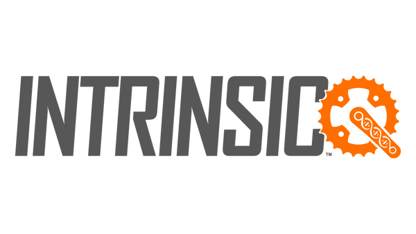 Intrinsic Cycles logo
